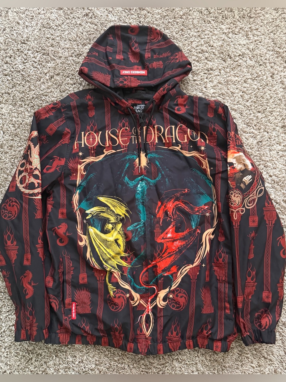 House of the Dragon Graphic Hoodie - Multi-Color Dragon Design